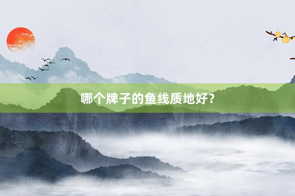 哪个牌子的鱼线质地好？